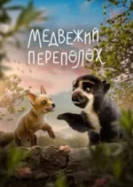 Медвежий переполох